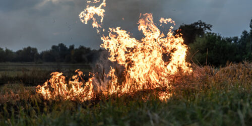 Incendies dans les Pyrénées-Orientales : Comprendre les Garanties et Franchises de Votre Assurance