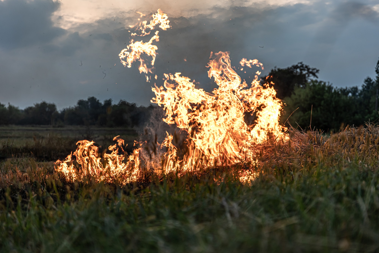 You are currently viewing Incendies dans les Pyrénées-Orientales : Comprendre les Garanties et Franchises de Votre Assurance